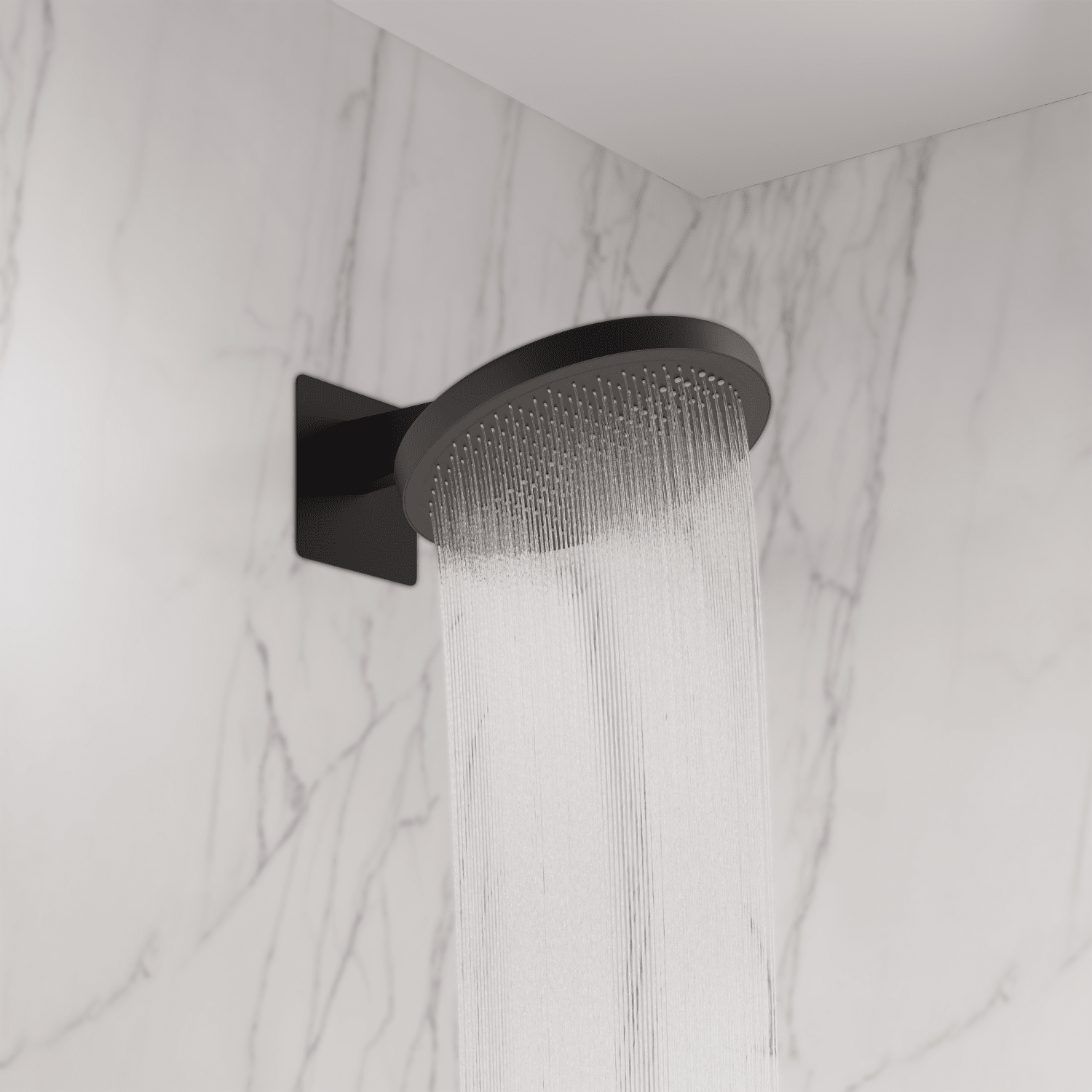 CAESAR - lomazoo.com